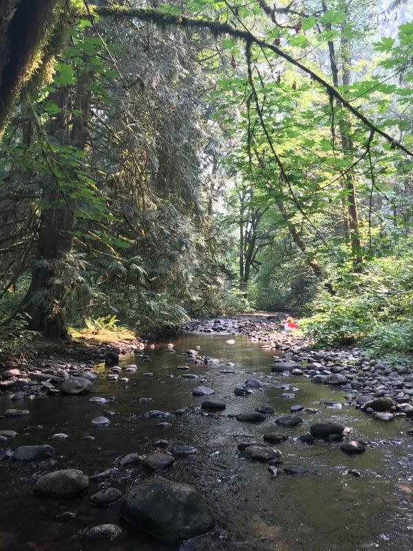 a stream sampling site on Griffen Creek