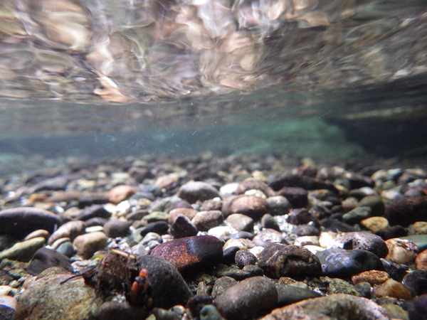 underwater stream substrate