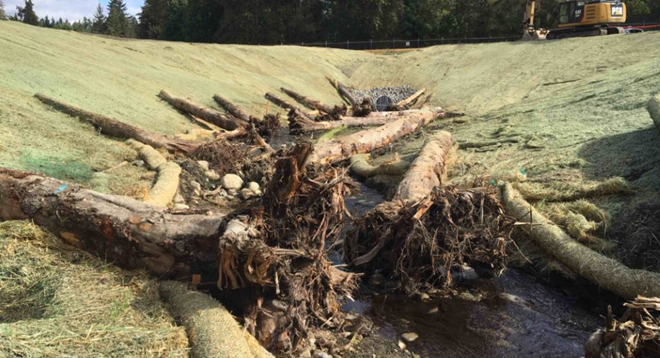 Recent fish passage project at the upstream end of the Molasses Creek Fish Barrier and Habitat Improvement Study area