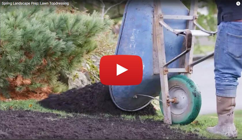 YouTube video: Spring landscape prep - lawn topdressing