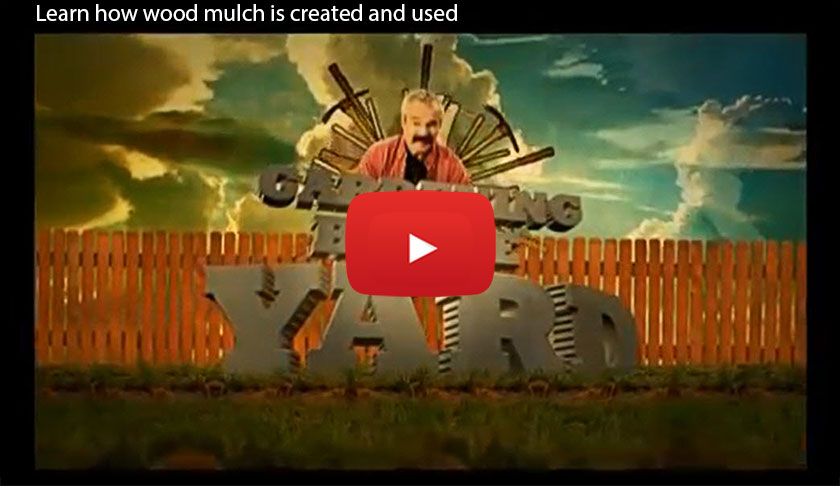 YouTube video from Rainier Wood Recyclers: learn how wood mulch is created and used