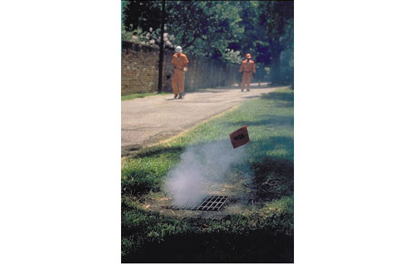 smoke-test