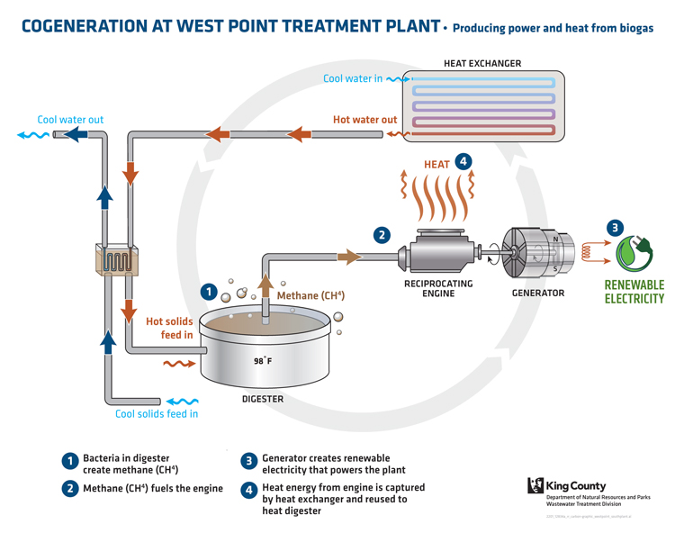Renewable-Energy-Cogen-at-West-Point_750