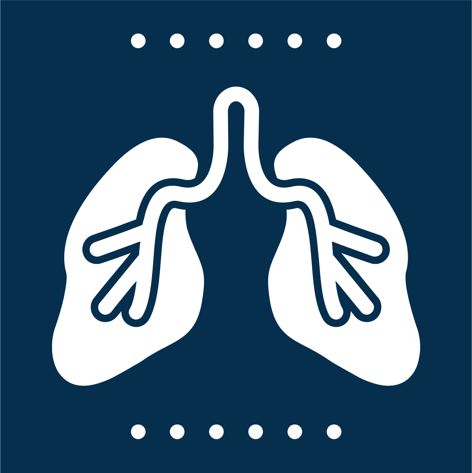 Icon representing an x-ray chart showing lungs