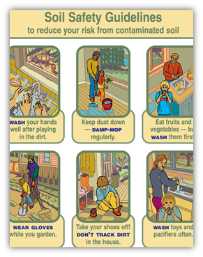 Soil Safety Guidelines to reduce your risk from contaminated soil