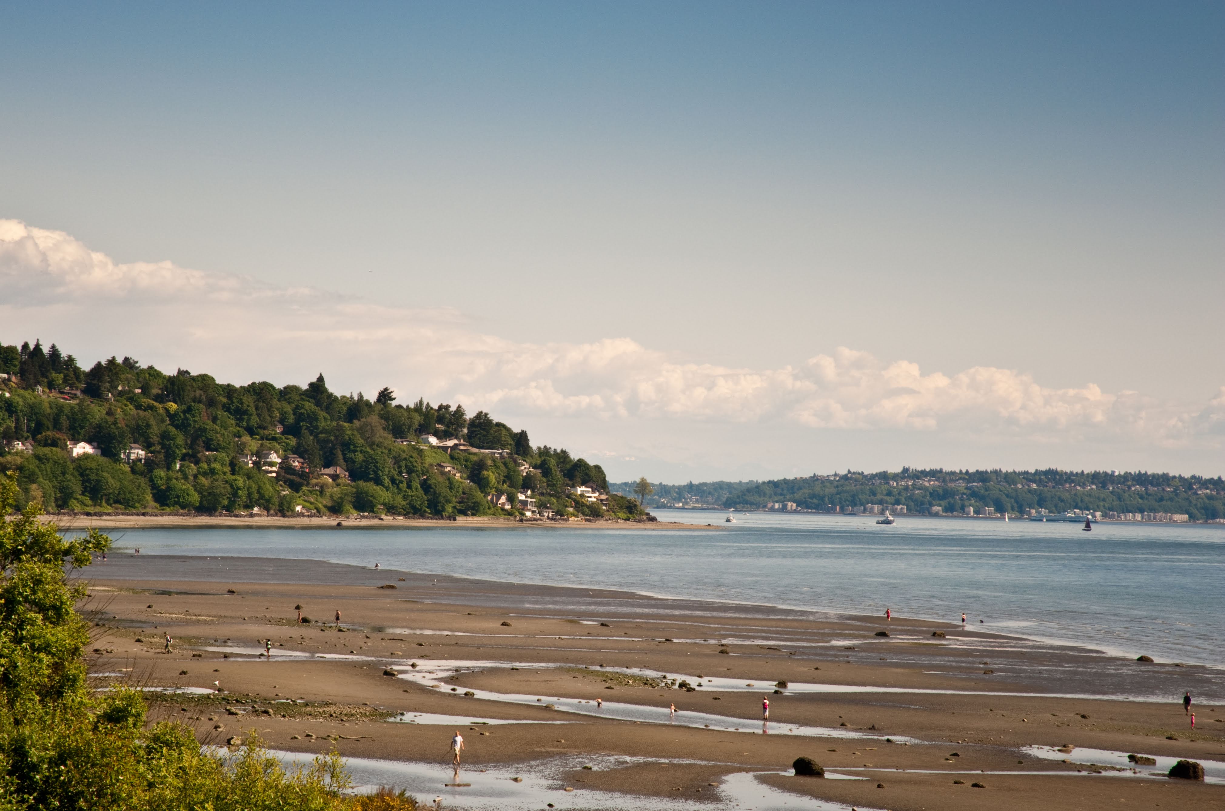 shorelines critical areas