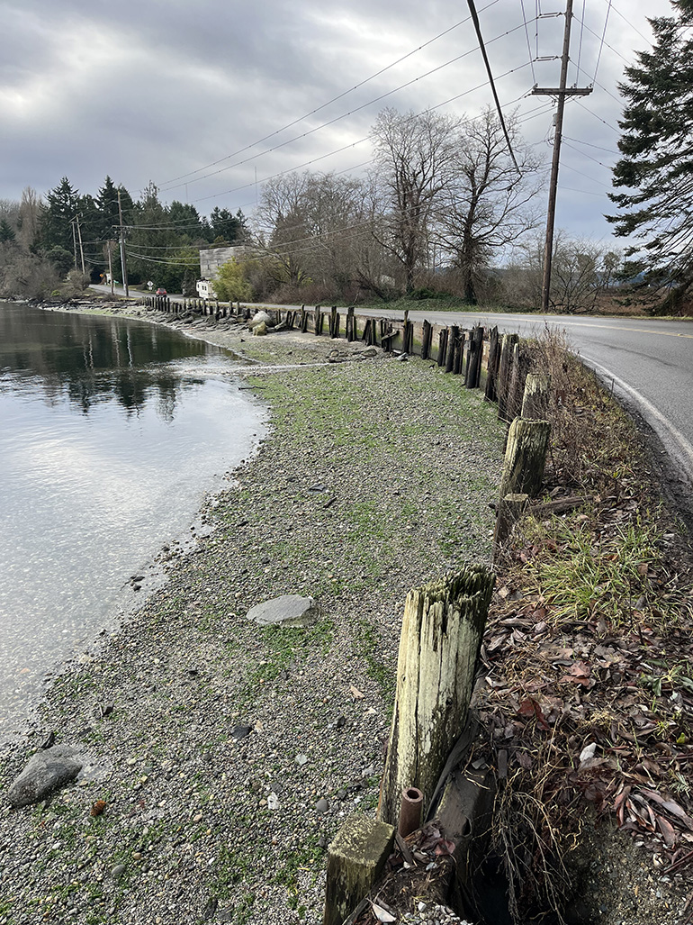 Dockton Seawall at low-tide