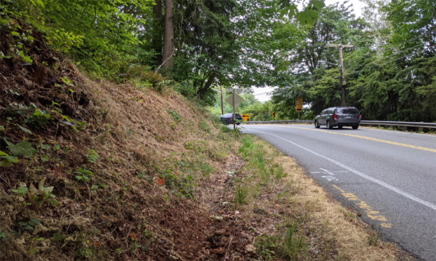 Looking south on SE Covington-Sawyer Road.