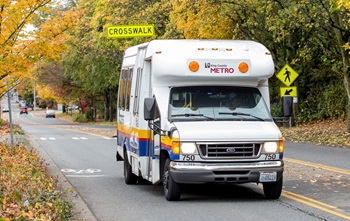 access_van_fall_leaves1