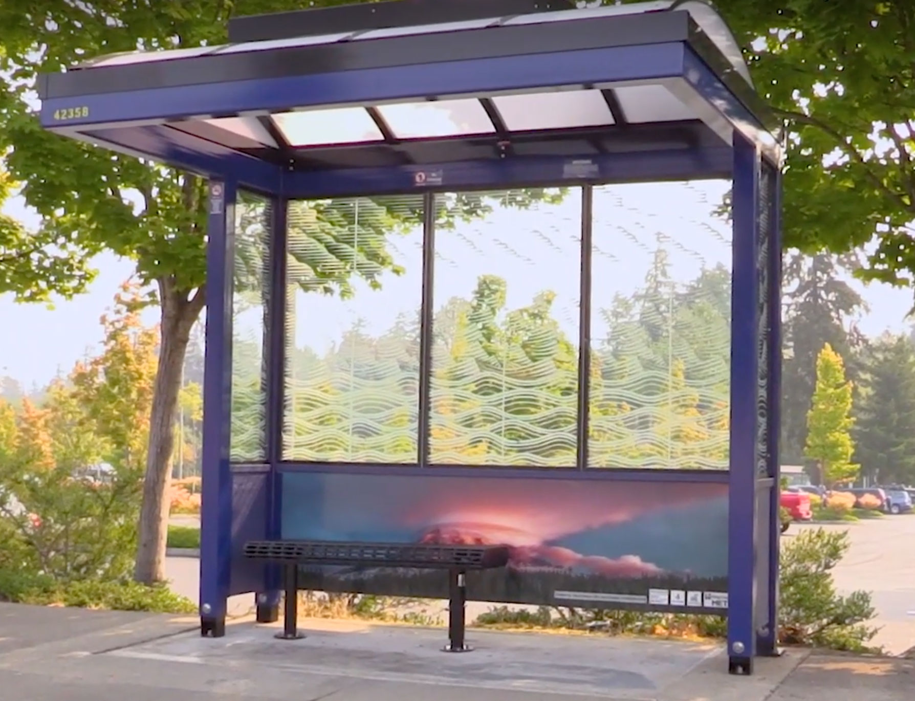 Bus shelter photo mural project