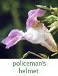 policeman's helmet