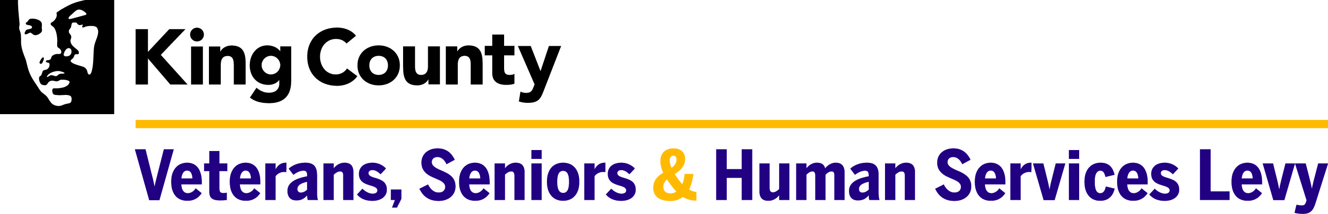 VSHSL_logo_color_2022