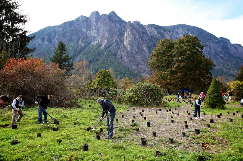 Three Forks Natural Area planting volunteer event